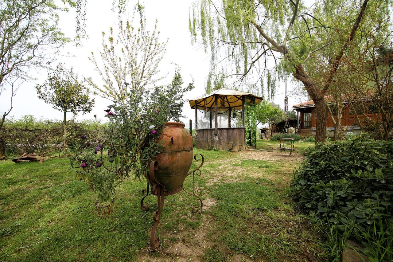 Tartaruga Motel Goce Exterior foto